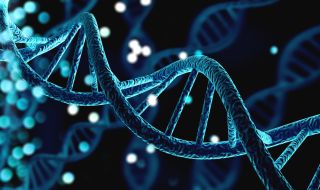 Научен пробив: Човешките гени могат да бъдат контролирани с електричество