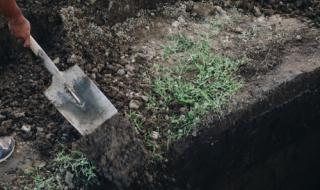 Изровиха млада жена от гроба във Врачанско