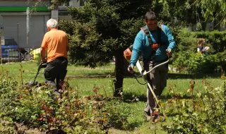 От "Спаси София" твърдят: На инат не се довършва Стандартът за улично озеленяване