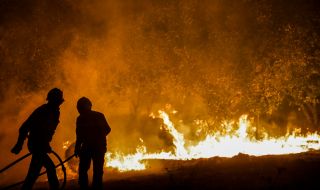 Огромен горски пожар бушува в Северен Казахстан