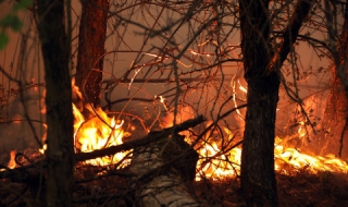 9 521 дка опожарени гори само за 14 дни