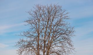 Прогноза за времето днес, 15 февруари: Затопляне, остава слънчево