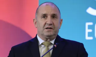 Полина Паунова: МС използва ресурс за агитация