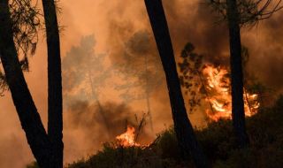Голям пожар бушува във военния полигон „Ново село”
