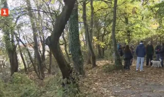 Residents of "Dragalevtsi" defend land for landscaping