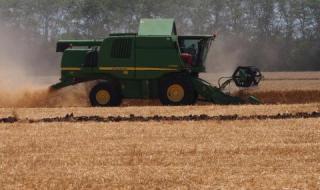 Над 100 кг пшеница от декар по-малко спрямо 2019 г.