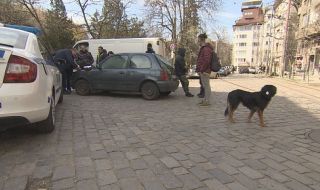 Ротвайлер уби малко куче в София