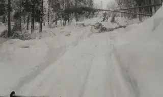 ЕРМ Запад възстановява захранването, паднали дървета и силен вятър предизвикват нови аварии 