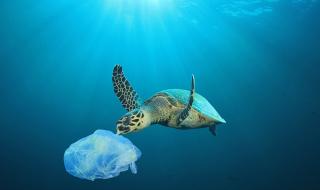Екологичен апокалипсис! Морското дъно е осеяно с 14 милиона тона микропластмаса