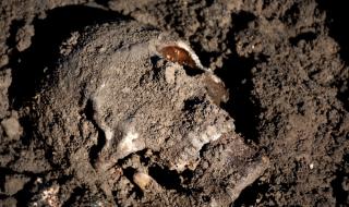 „Ислямска държава“ оставила 200 масови гроба