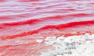 „Кърваво“ наводнение потопи село в Индонезия (ВИДЕО)