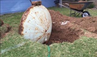 Мъж попадна на нещо сензационно в двора си (СНИМКИ)