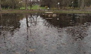 Езерото с лилиите прелива (СНИМКИ)