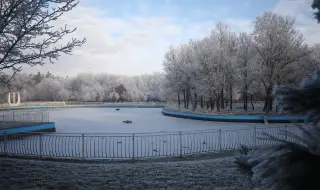 По миризмата: Откриха разложен труп в столичния Северен парк