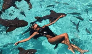 Николета Лозанова плува и с акули на Бахамите (ВИДЕО+СНИМКИ)