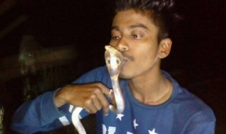 21-годишен индиец опита да целуне кобра. Умря.
