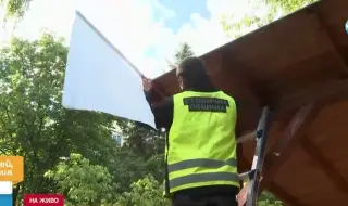 Sound of a crow in distress and white flags will protect a kindergarten from aggressive crows in Sofia 