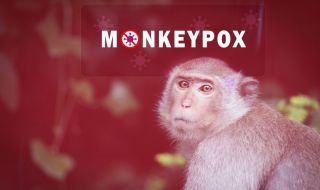 СЗО: Броят на регистрираните случаи на маймунска шарка в световен мащаб е намалял