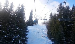 Дърво се сгромоляса върху лифт в "Пампорово"