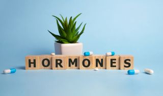 Хормоните ни се променят със сезоните