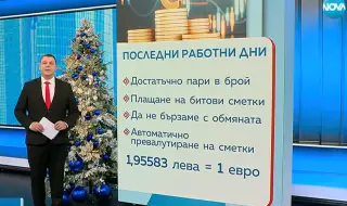 Какво съветват експертите преди предстоящата смяна на лев с евро