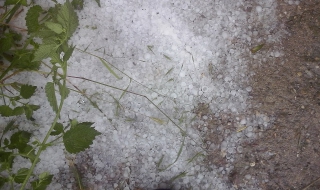 Градушка помля Илиянци