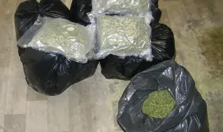 Унищожиха близо два тона канабис