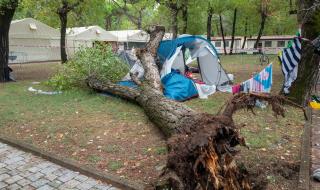 Дърво падна върху палатка и уби 2 деца в Италия