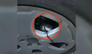 Колата с прикрепена бомба в Говедарци е на частна фирма, разследват опит за унищожаването ѝ