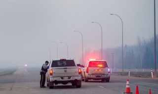 Милиони пчели щурмуваха магистрала в Уайоминг