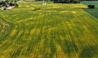 Ананиев с извънредна заповед и нова мярка заради COVID-19