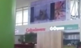 Пуснаха еротични сцени на екраните в търговски център