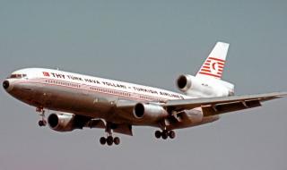 Чайки приземиха самолет