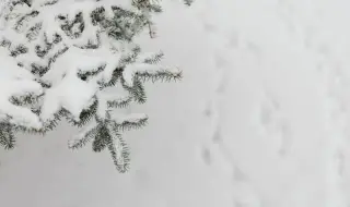 Заснежени са пътищата в няколко области от страната