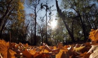 Очаква ни слънчев и топъл петък
