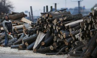 Недостиг на дърва за огрев в Монтанско