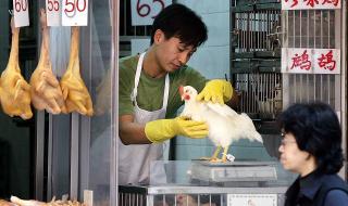 COVID-19 е произлязъл от пазар за диви животни в Китай