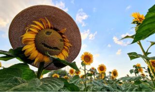 Времето днес, прогноза за неделя, 13 август: Остава предимно слънчево, купеста облачност в планините