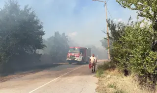 Голям пожар край Благоевград