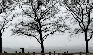 Застудяване в петък