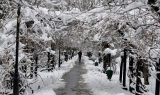 Голям студ в Румъния