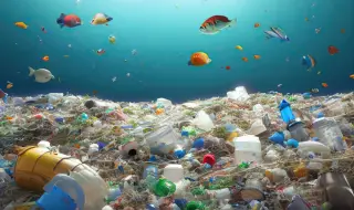 До 11 млн. тона пластмасови отпадъци има на океанското дъно