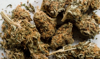 Четири килограма канабис иззе полицията в село Ключ