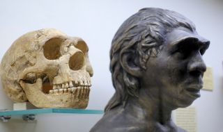 Неандерталците и съвременните хора са съжителствали в Европа повече от 2000 години