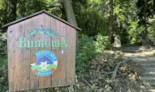 Спасители се отзоваха на сигнал за пострадал мъж на Витоша, откриха починал турист