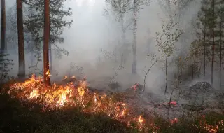 Strong winds ignited dozens of fires in Russia's Rostov region 