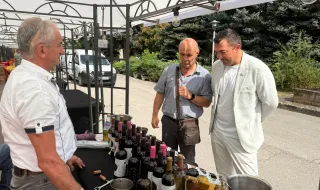 Предстои допълнителна подкрепа за лозарския сектор