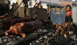 Близо 6000 мъртви прасета в река край Шанхай