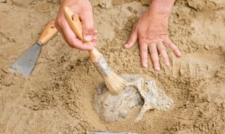Китайски археолози откриха фосилизиран череп на Хомо еректус на 1 млн. години (ВИДЕО)