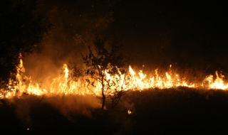 Овладян е пожарът в Новозагорско